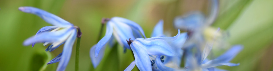 Bezpieczna przestrzeń